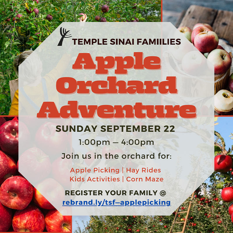 Temple Sinai Families Apple Picking 2024